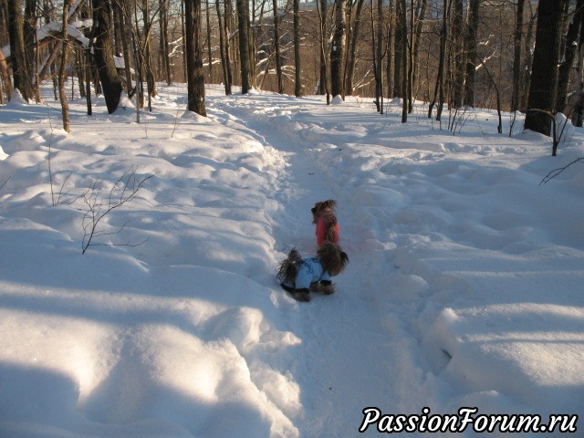 Доброе, бодрое утро!)))