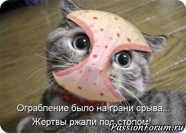 Со Всемирным Днем кошек!)))