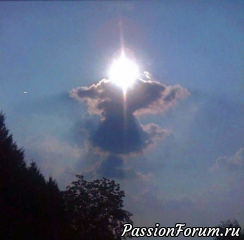 Хочешь увидеть ангелов? Чаще смотри на небо!)))))