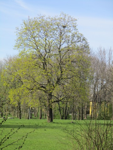 Прогулка по городу )