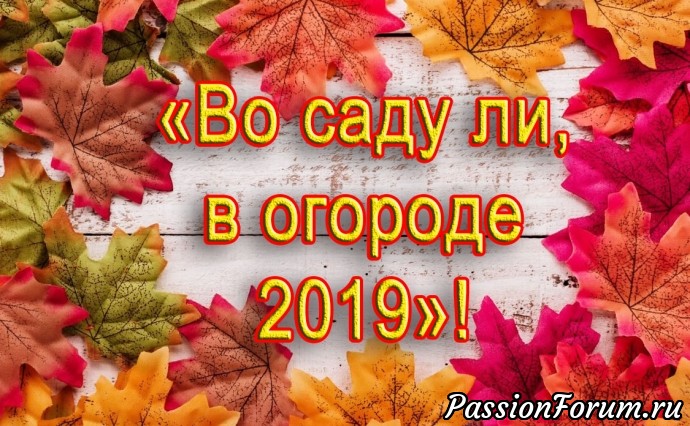 Конкурс «Во саду ли, в огороде». ПРОДОЛЖАЕМ ПРИНИМАТЬ РАБОТЫ!