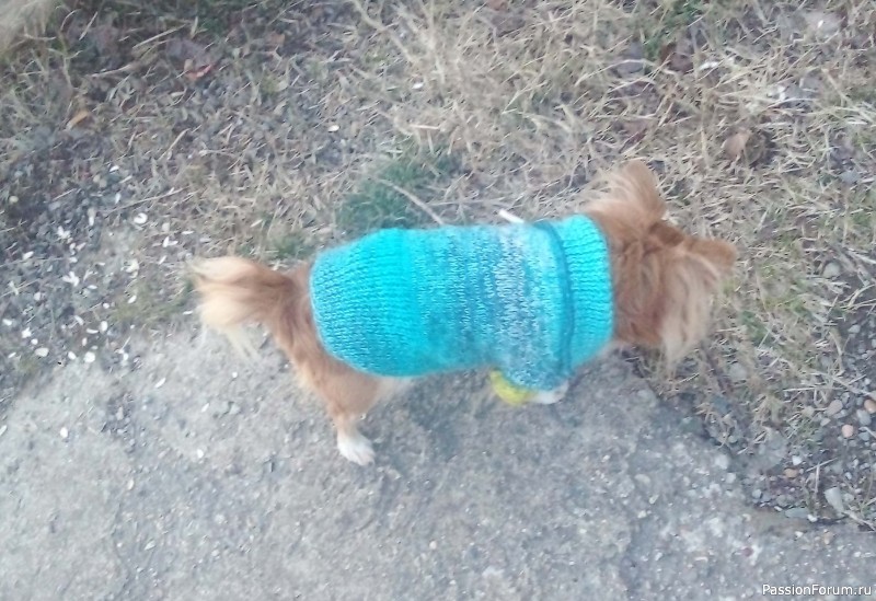 Одёжка для Марика)))