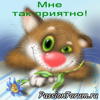Лежу,болею,гриппую,ничего не хочется,настроение ноль.И тут мне сообщает Наташа,что на почте меня ждет посылочка.Я обрадовалась,но сама -то получить не могу.пришлось звонить на почту заведующей,объяснять ситуацию и просить ,чтобы мужу отдали посылку и ,ура!,она разрешила!Муж пошел за посылкой ,а я с нетерпением осталась ждать.
Принес,открыли ,и вот ,что там было: Лежу,болею,гриппую,ничего не хочется,настроение ноль.И тут мне сообщает Наташа,что на почте меня ждет посылочка.Я обрадовалась,но сама -то получить не могу.пришлось звонить на почту заведующей,объяснять ситуацию и просить ,чтобы мужу отдали посылку и ,ура!,она разрешила!Муж пошел за посылкой ,а я с нетерпением осталась ждать.
Принес,открыли ,и вот ,что там было: