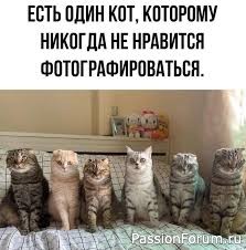 "Обобрени". З.Арефьева (отрывок из "Кошичкиной полиции)