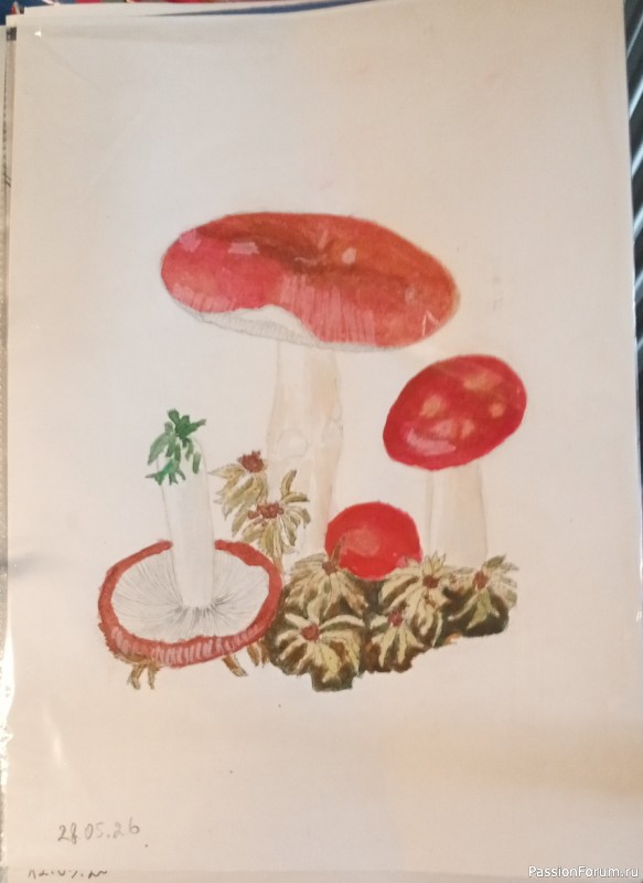 Майские рисунки