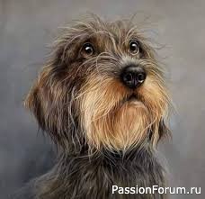 "Я и моя тень" (окончание)