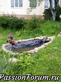 А это маленький прудик около грядок, мы потом этой водой поливаем А это маленький прудик около грядок, мы потом этой водой поливаем