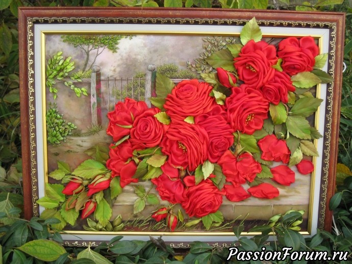 Красные розы. Розовый куст в саду