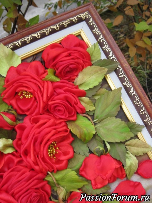 Красные розы. Розовый куст в саду