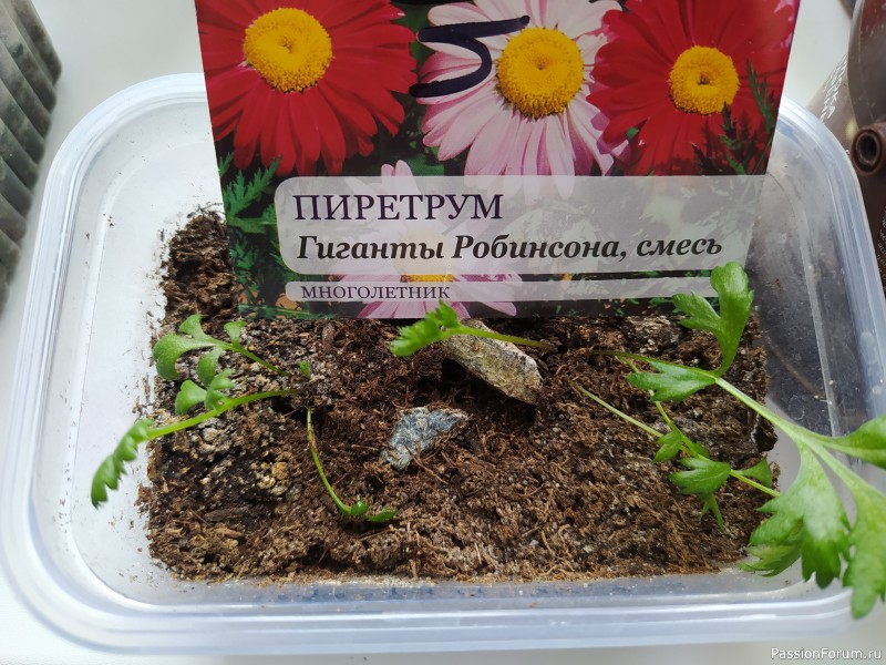 Готовлюсь к посадкам. Готовлюсь к посадкам.