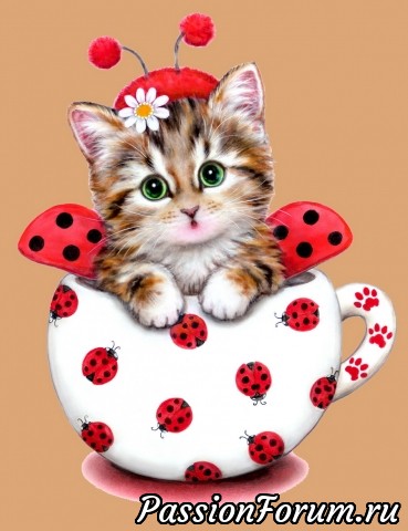 Коты и не только