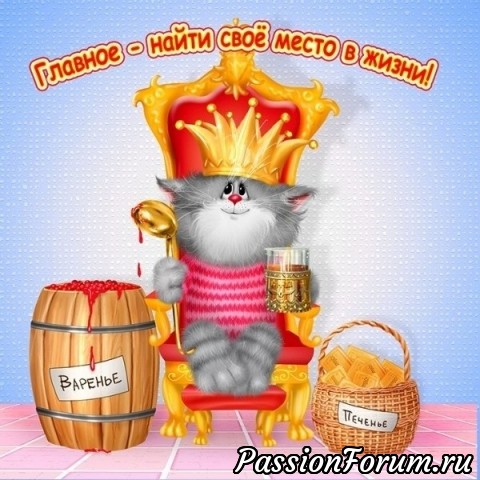 Коты и не только