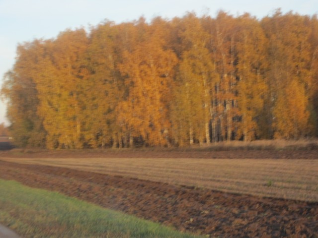 ОКУНУЛИСЬ В ОСЕНЬ...