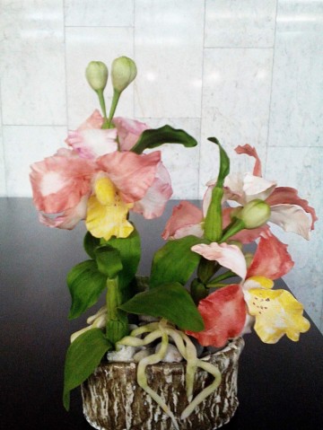 Орхидея Каттлея (холодный фарфор)