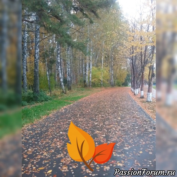Осень в Сибири