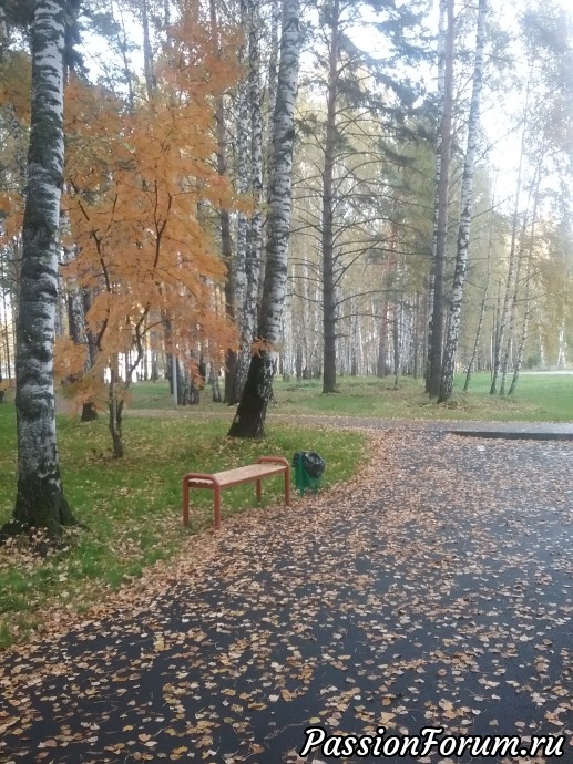 Осень в Сибири