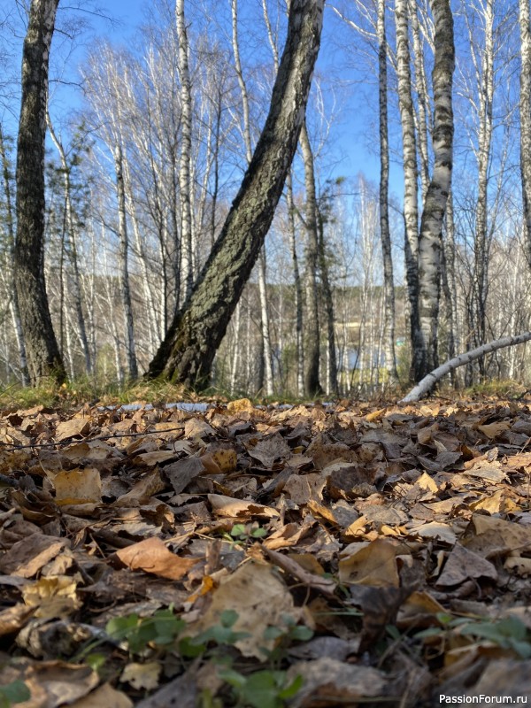 Осенние зарисовки