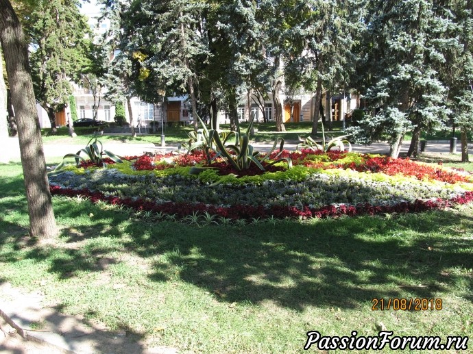 Кавказ: рукотворная красота Кавказ: рукотворная красота