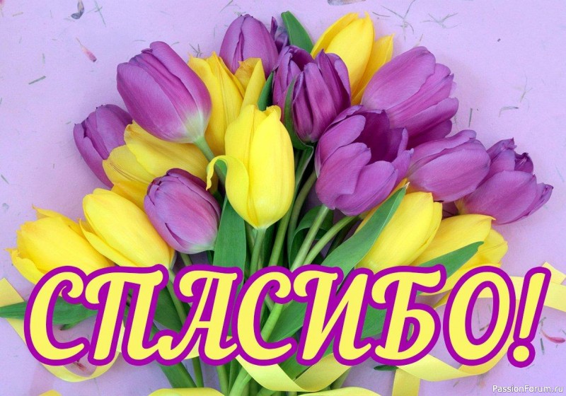 Моя "шоколадка". Хардангер.