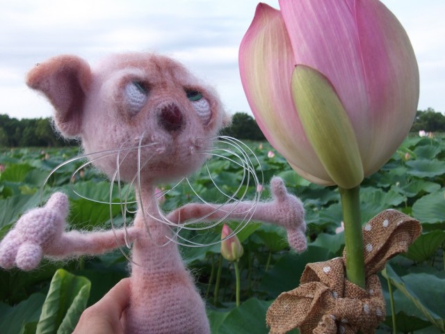 И конечно же мои коты)) И конечно же мои коты))