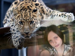 Setona28 Setona28