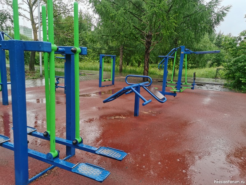 Музыка дождя