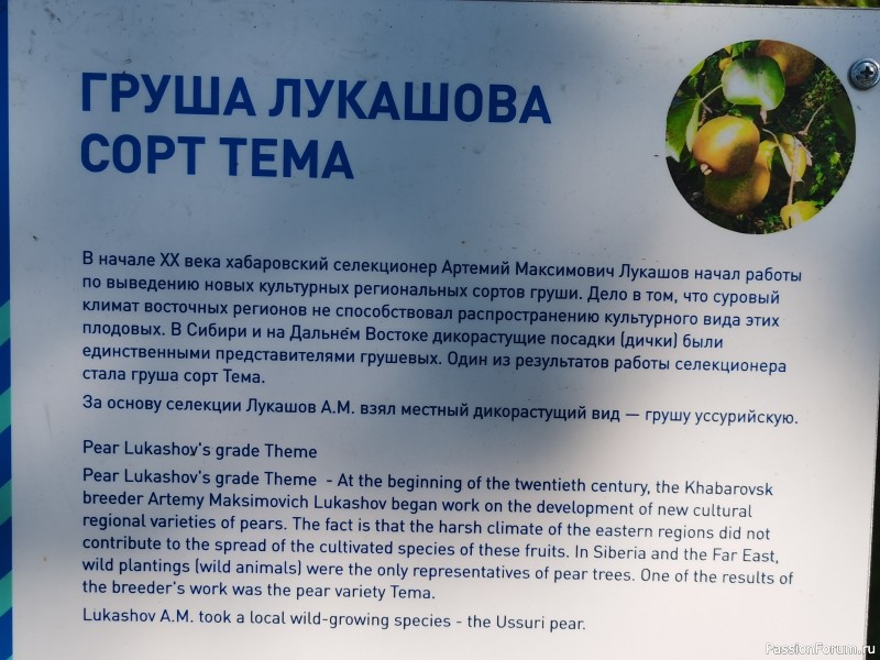 Фотозарисовки-ассорти