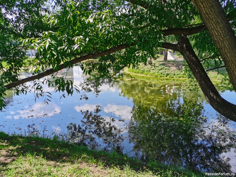 Фотозарисовки-ассорти