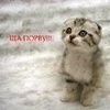джеда джеда