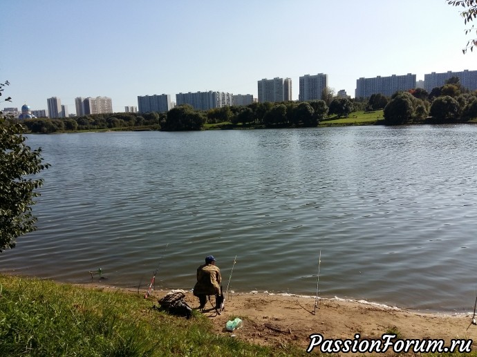 Шикарно отдохнуть в Москве? На Борисовских прудах!