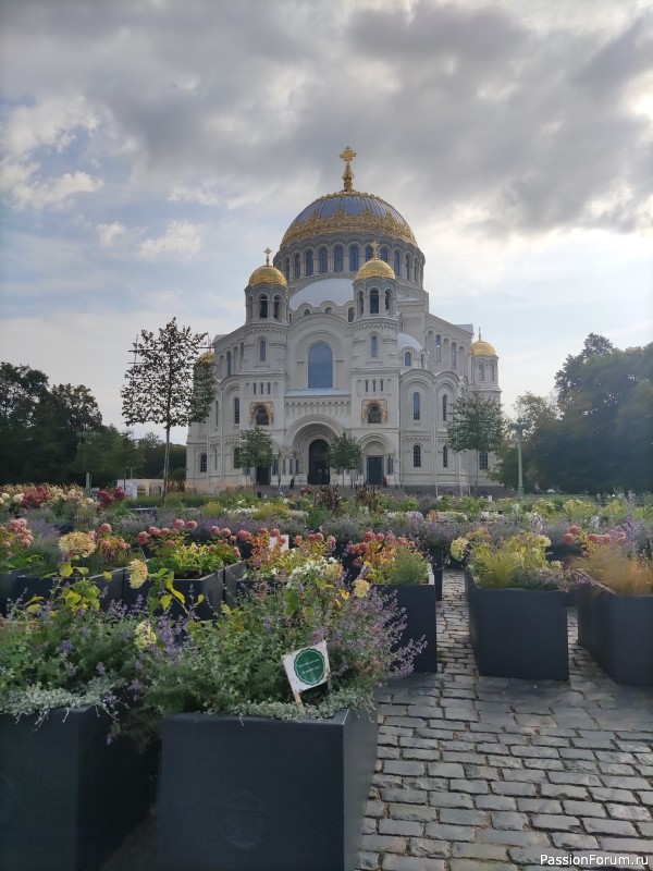 Путешествие. Санкт-Петербург.