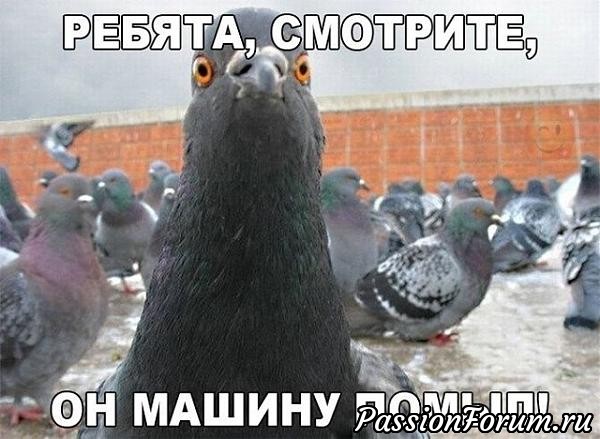 С праздником, милые женщины!!! И немного юмора. С праздником, милые женщины!!! И немного юмора.