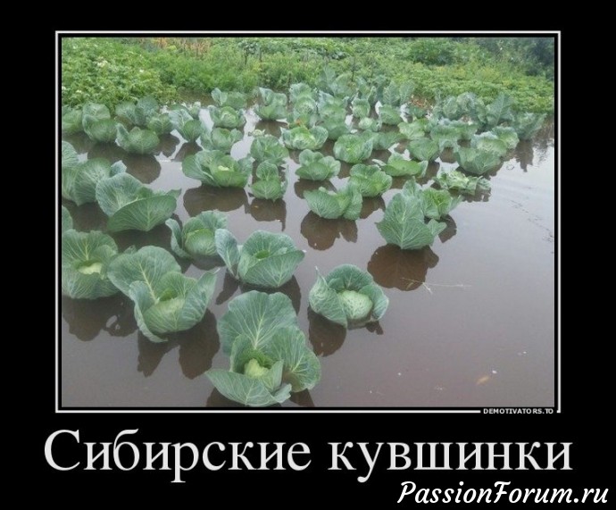 Улыбнёмся