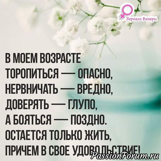 Комментарий к изображению Комментарий к изображению