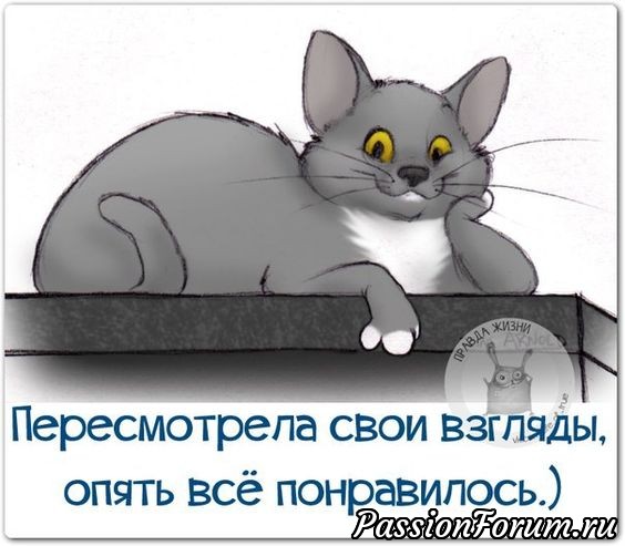 Комментарий к изображению Комментарий к изображению