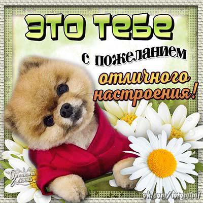 Картинка схемы вязания ажуром Картинка схемы вязания ажуром