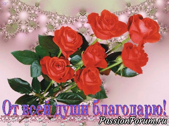 Вика, милая- я от всей души сердечно благодарю тебя за твою любовь и доброту!!!! Как мне радостно и приятно, что кусочек Слёта прилетел ко мне и я сердцем прикоснулась к любви и счастью!!! Вика, милая- я от всей души сердечно благодарю тебя за твою любовь и доброту!!!! Как мне радостно и приятно, что кусочек Слёта прилетел ко мне и я сердцем прикоснулась к любви и счастью!!!