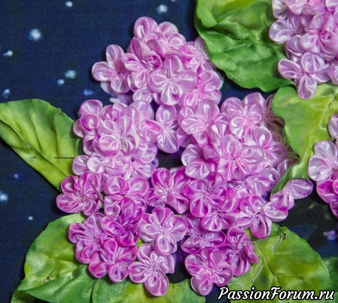 МК Сирень