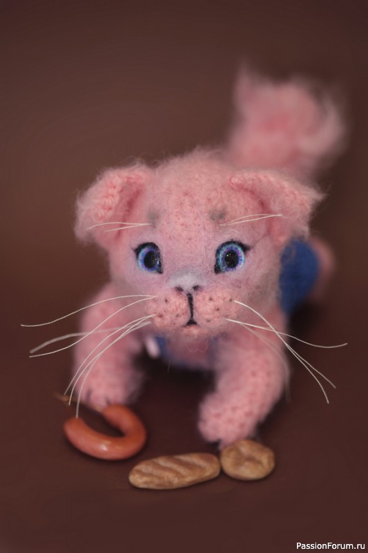 Котик с продуктами