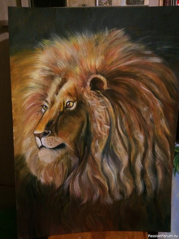 Картина «Лев». Масло. 50 х 70 см