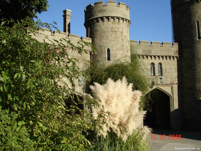 Крымские каникулы, продолжение