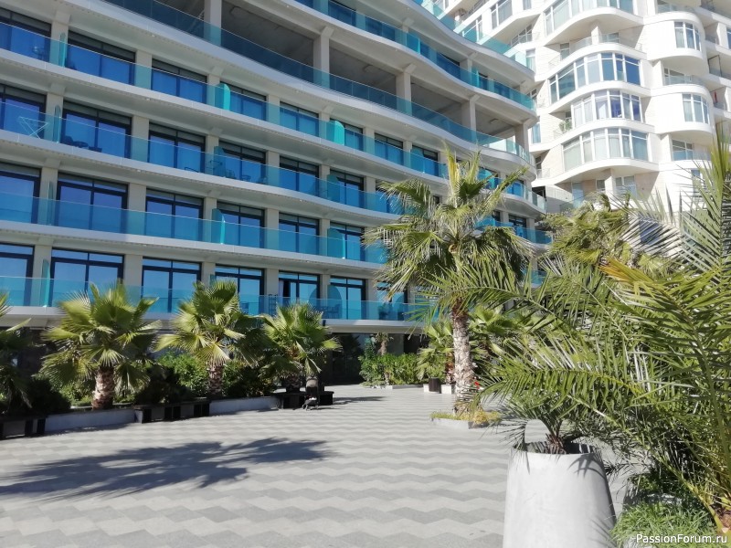 Крымские каникулы, продолжение