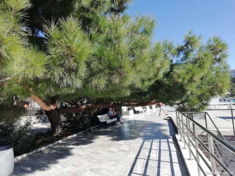 Крымские каникулы, продолжение