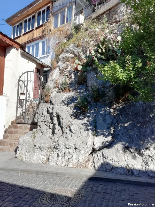 Крымские каникулы, продолжение