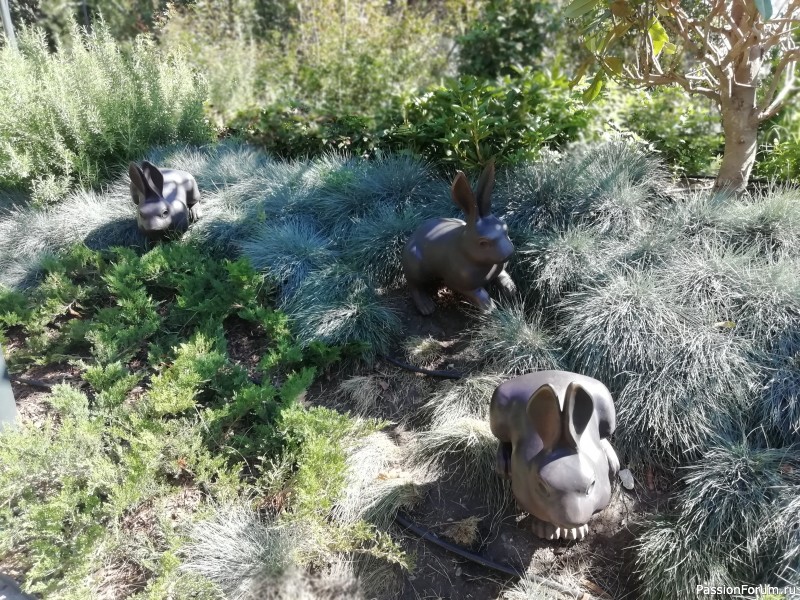 Сентябрь в Крыму