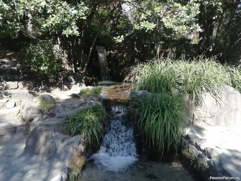 Крымские каникулы, продолжение