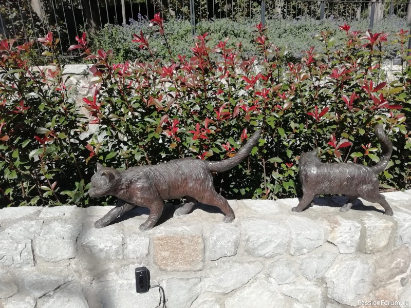 Сентябрь в Крыму