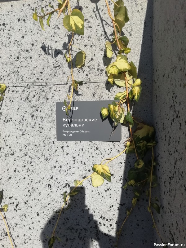 Сентябрь в Крыму