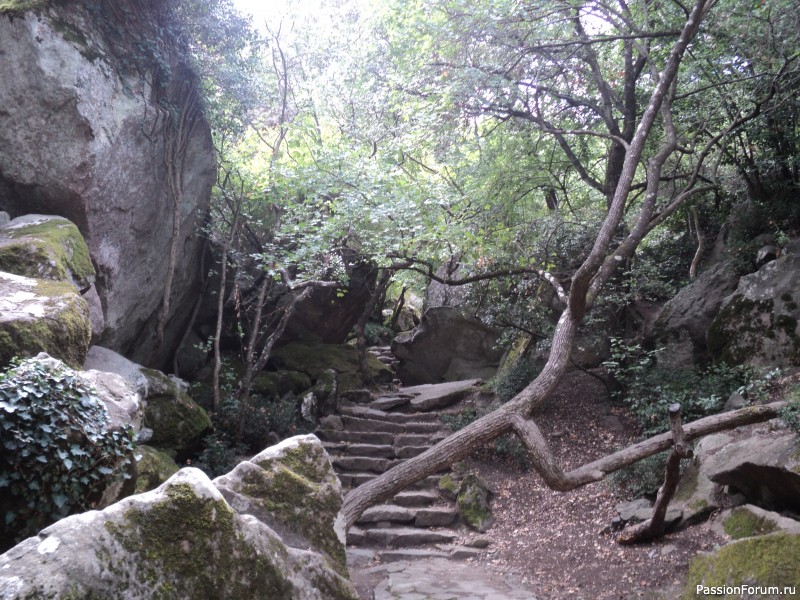 Крымские каникулы, продолжение