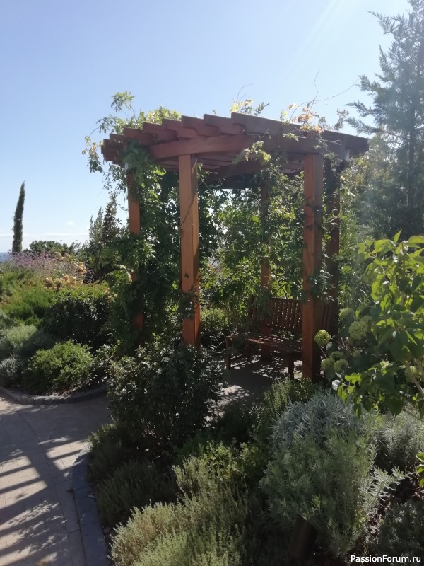 Сентябрь в Крыму